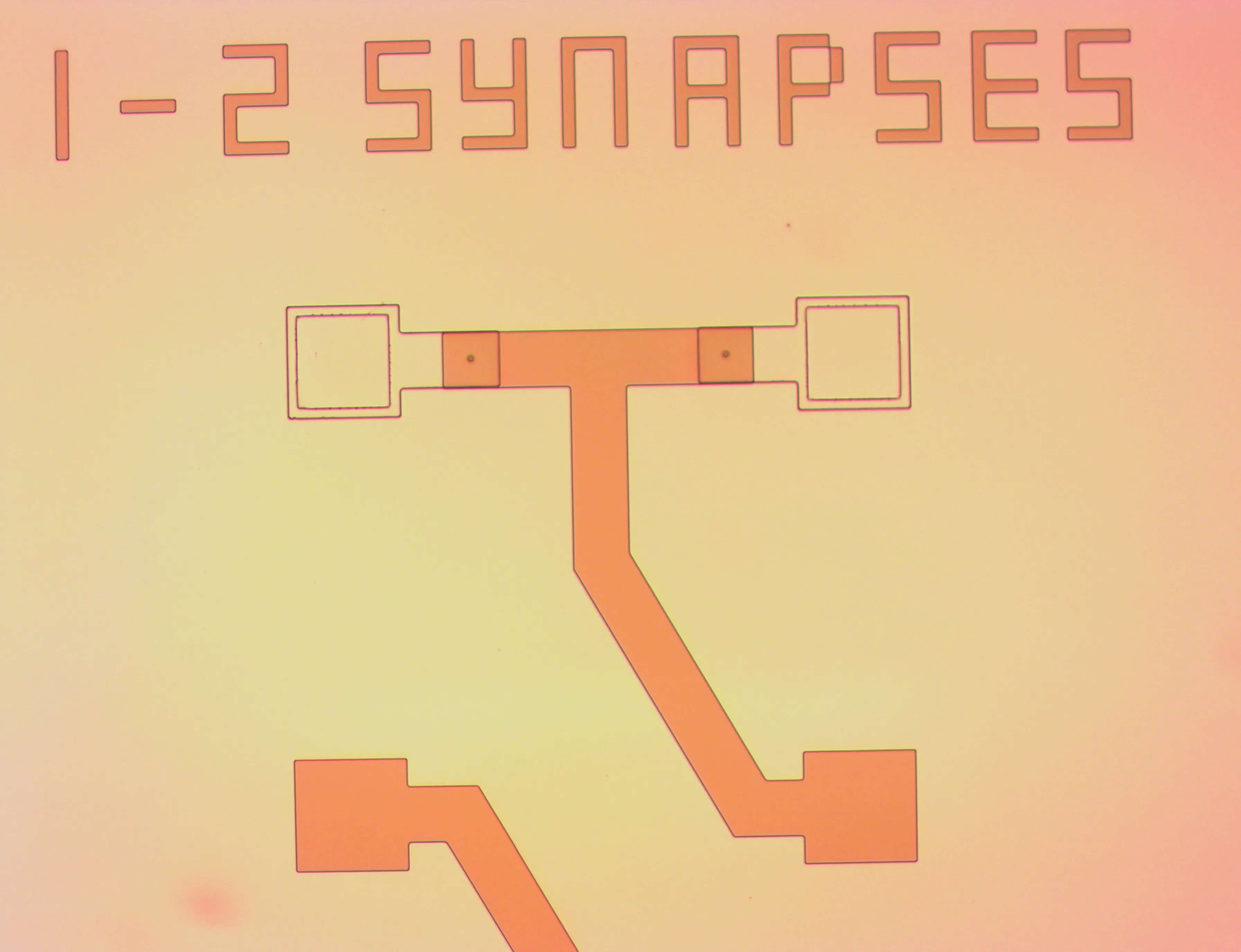 A pair of Knowm Self Directed Channel memristors forming a kT-bit synapse.