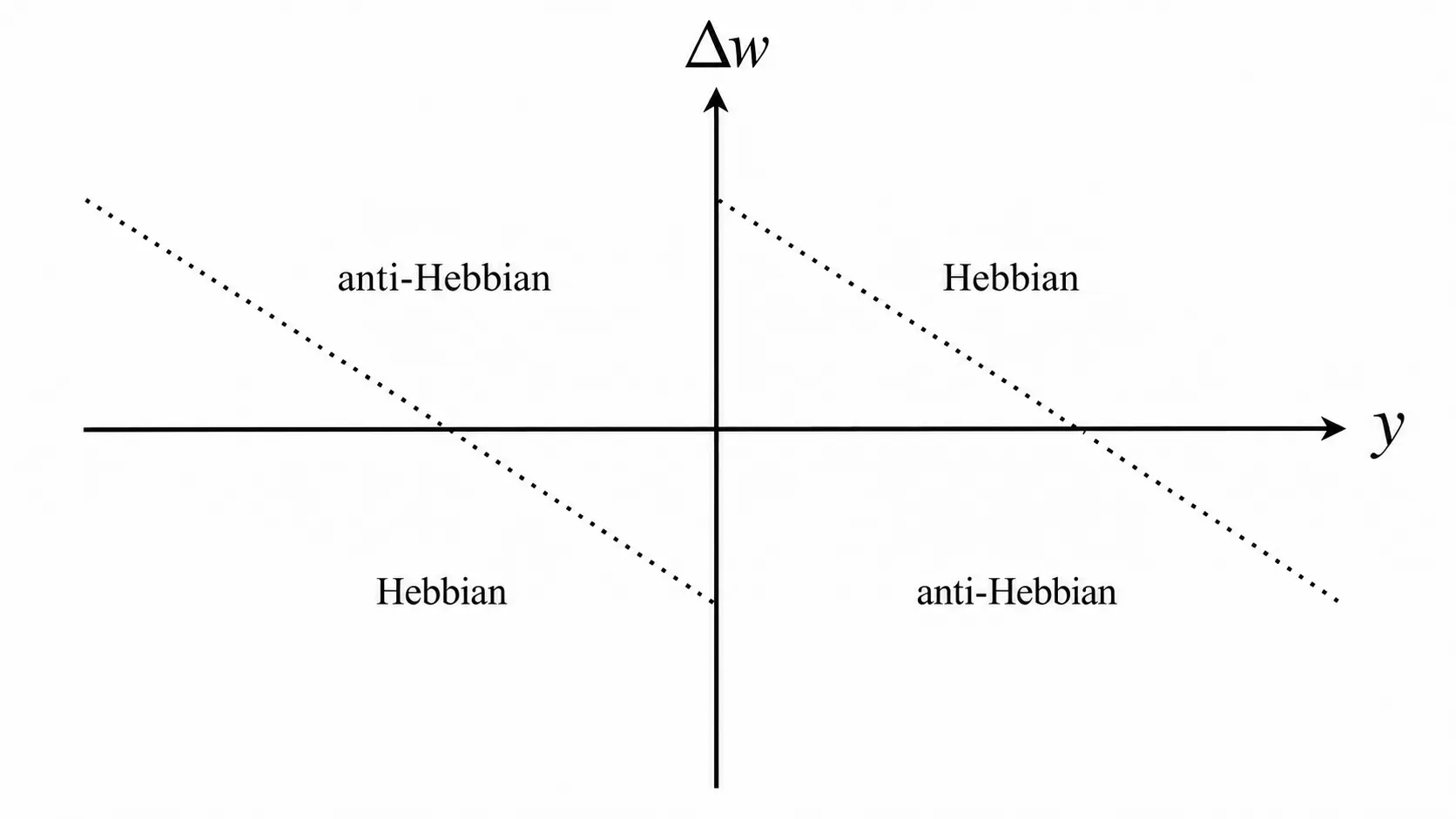 A plot of weight update dW against node output y. A dotted line slopes downward from upper left to lower right. The upper-left and lower-right quadrants are labelled AH (anti-Hebbian); the upper-right and lower-left quadrants are labelled H (Hebbian). Near y=0 the update is large and Hebbian; far from y=0 it crosses into anti-Hebbian.