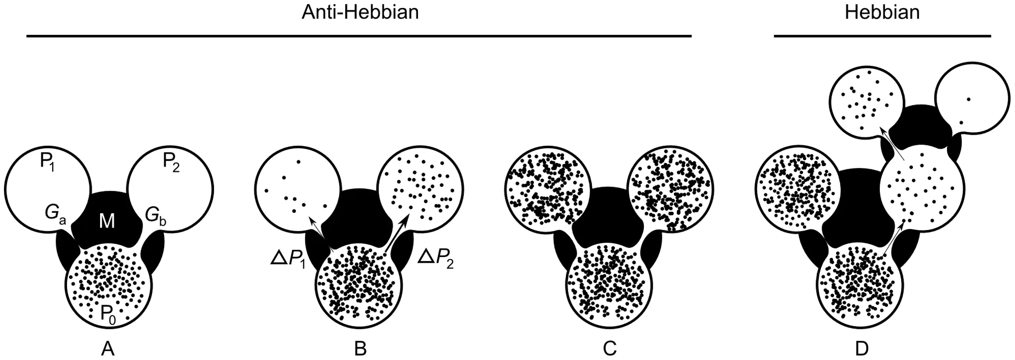 Figure from the AHaH Computing paper showing a competitive growth process and energy differentials driving adaptive bifurcation.