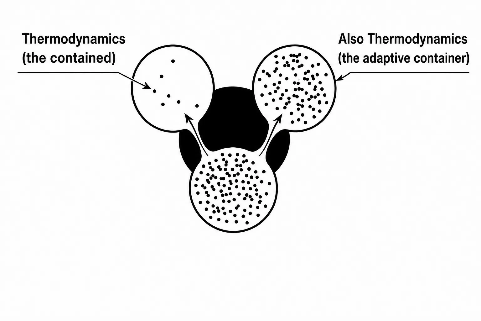 A composite image showing adaptive containers for energy flow across natural systems.