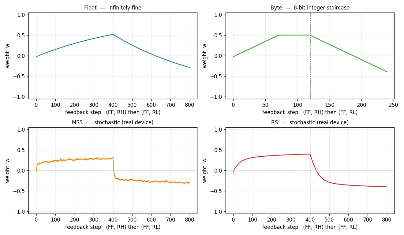 Four plots of weight w against step, one per device, each ramping up to a plateau then back down. Float: smooth, slightly asymmetric. Byte: a symmetric integer staircase plateauing at about +/-0.5. MSS: noisy, plateau near +/-0.3. RS: smooth-noisy, plateau near +/-0.4.