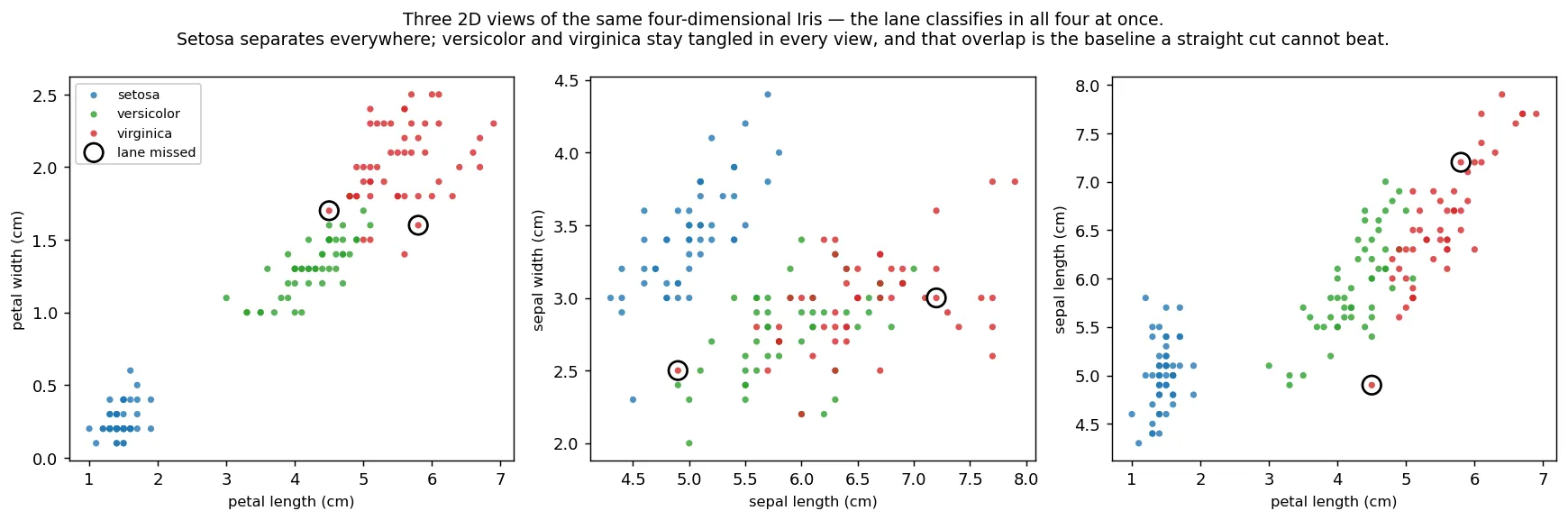 Three scatter plots of the same Iris flowers, each a different pair of the four measurements: petal length vs petal width, sepal length vs sepal width, and petal length vs sepal length. Setosa, in blue, sits in its own clump in every panel. Versicolor in green and virginica in red overlap heavily — one diagonal band along the petal axes, fully intermingled in the sepal panel. Two test flowers the lane got wrong are circled in black, and in every panel they sit right where green and red meet.