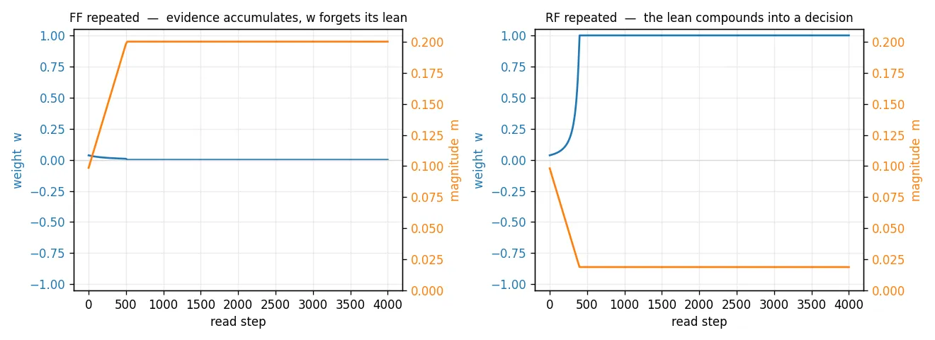 Two plots, weight w (blue) and magnitude m (orange) against read step. Left (FF): w decays from a small lean toward 0 while m rises to a plateau. Right (RF): w climbs and commits toward +1 while m falls as the pair polarizes.