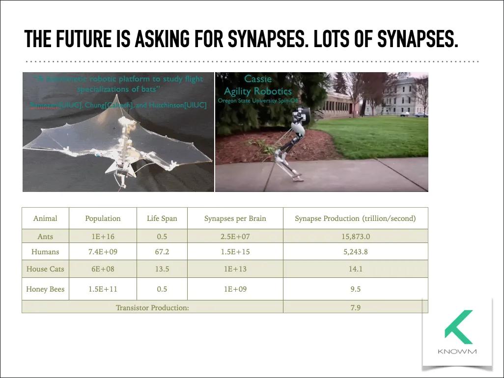 Slide titled The future is asking for synapses, lots of synapses, showing robot examples and a synapse production table.