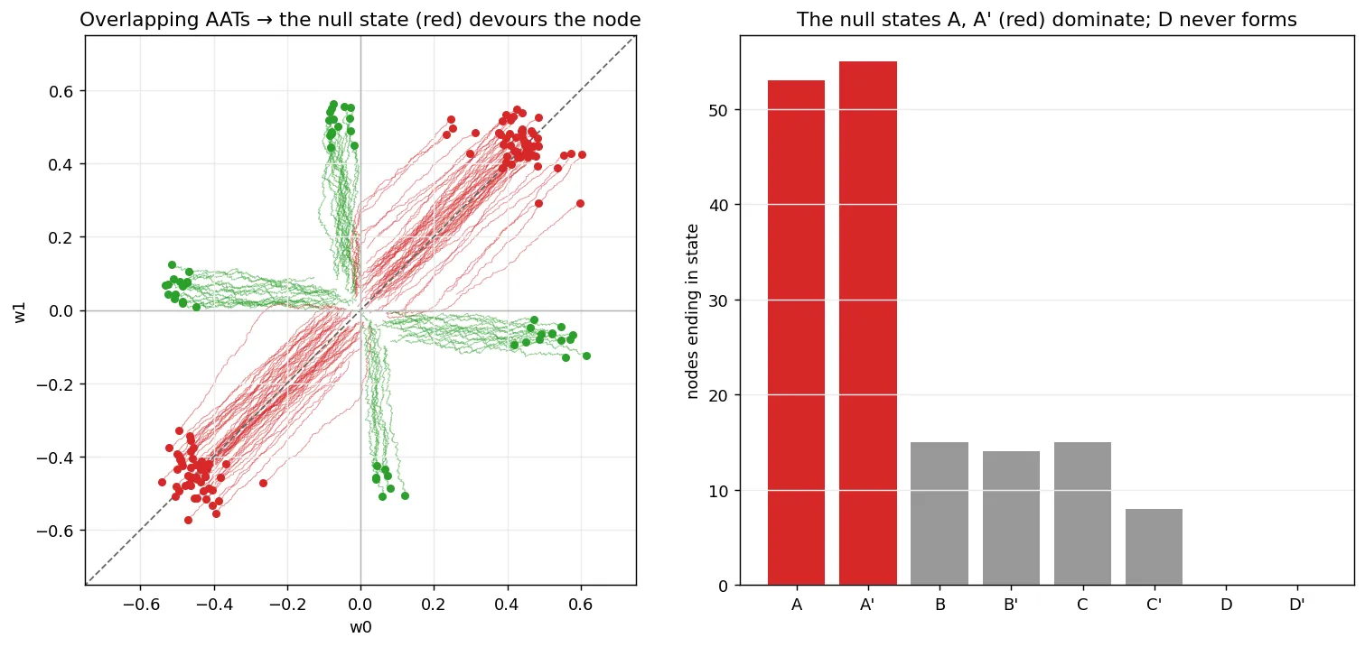 Two panels. On the left, a square weight-space plot like before, but most trajectories collapse onto the w0 = w1 diagonal (drawn dashed), ending in red dots in the top-right and bottom-left quadrants, while a minority end in green dots off the diagonal. On the right, a bar chart over eight states A, A', B, B', C, C', D, D': the A and A' bars are tall and red, B/B'/C/C' are short and grey, and D/D' are zero.