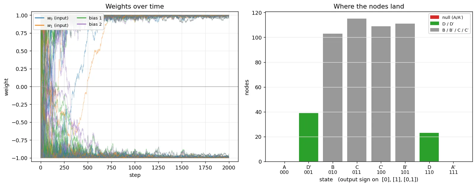 The same two-panel layout. On the left, the input weights rail while two bias weights settle. On the right, the histogram now has small but nonzero D and D' bars alongside B, B', C, and C', with the null states A and A' still empty.